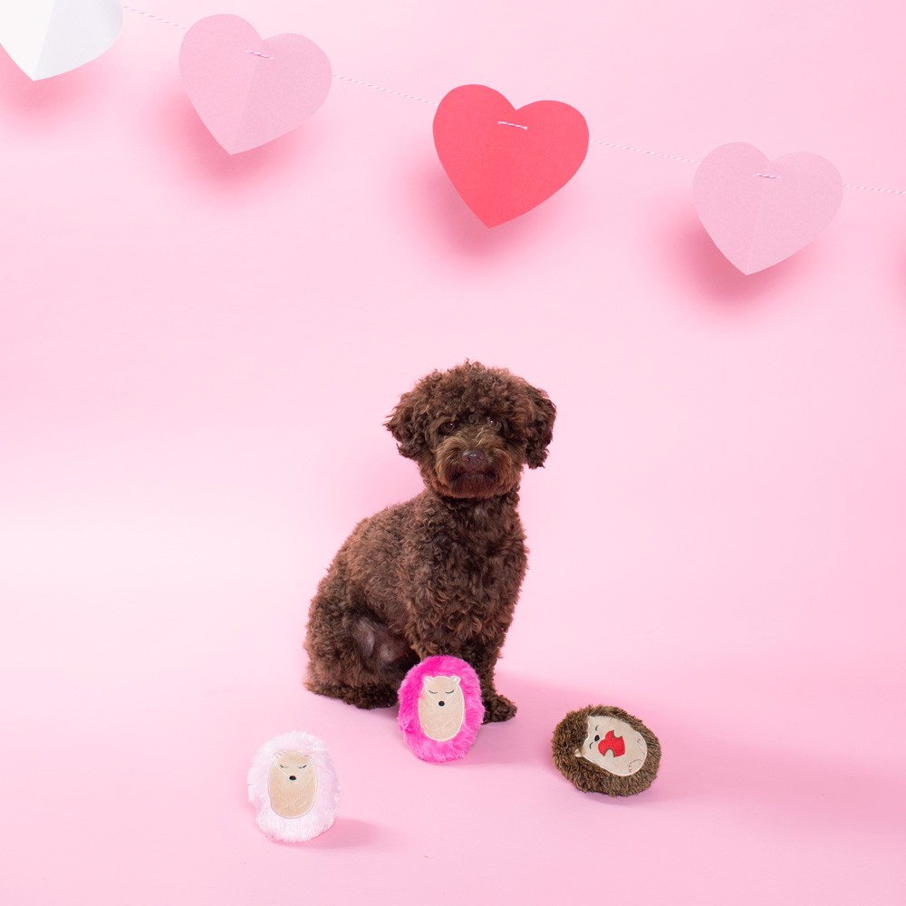 Hedge-Hugs & Kisses Small Dog Toy Set