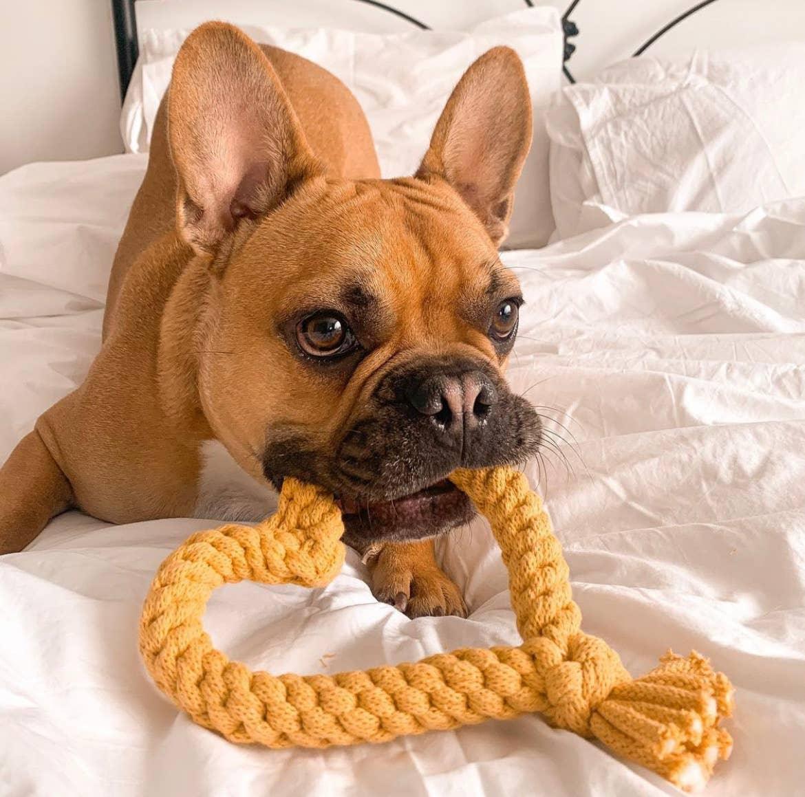 Heart Dog Toy - Bespoke Hearts