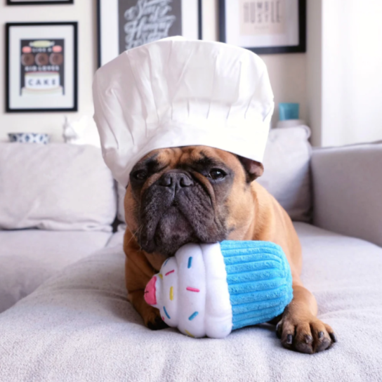Cupcake Dog Toy