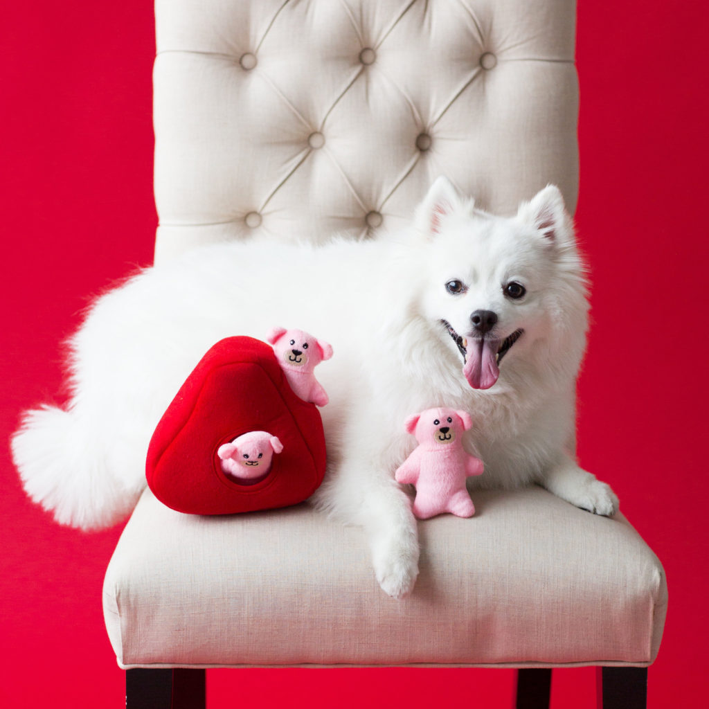 Heart 'n Bears Interactive Dog Toy