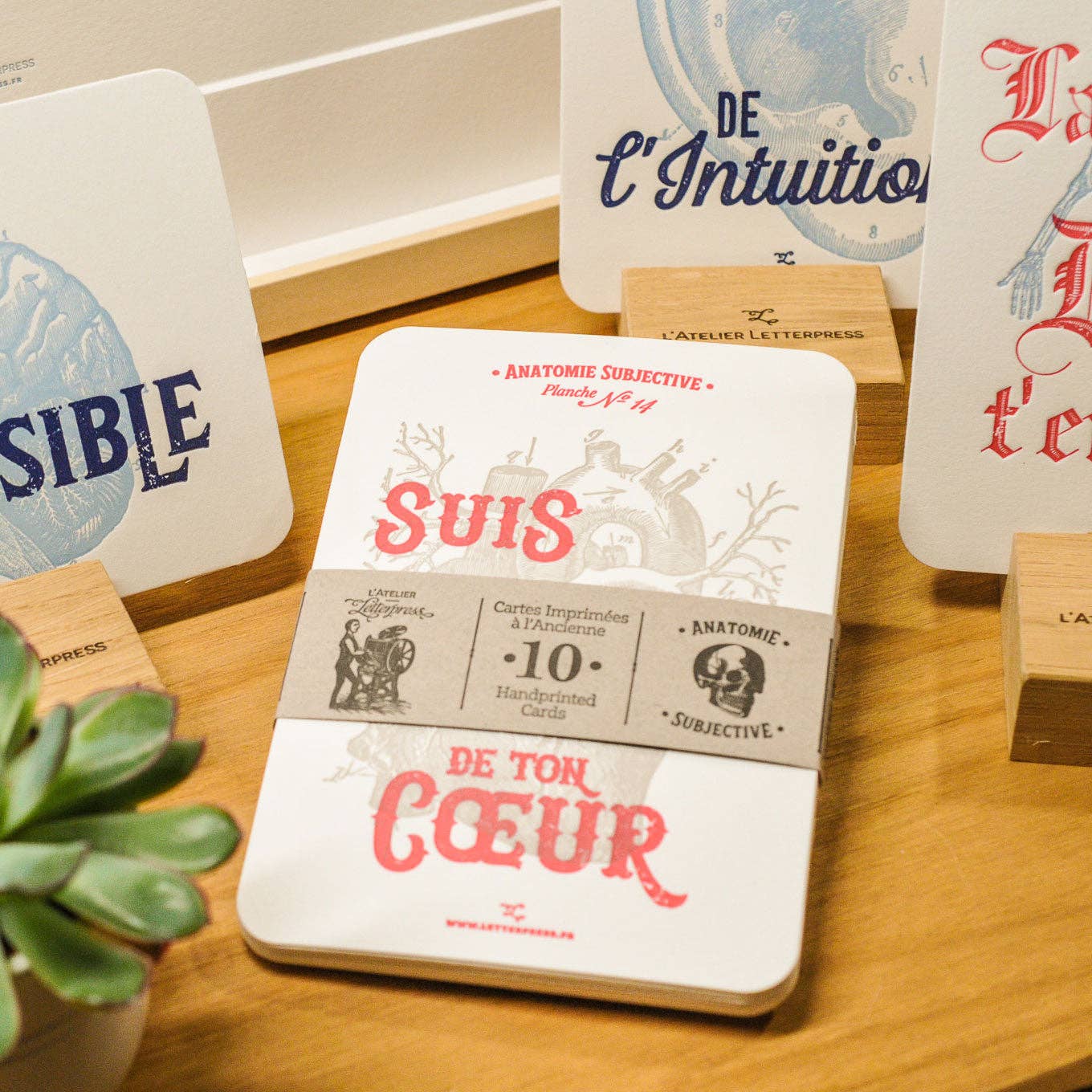 Subjective Anatomy 10 Letterpress Cards Collection