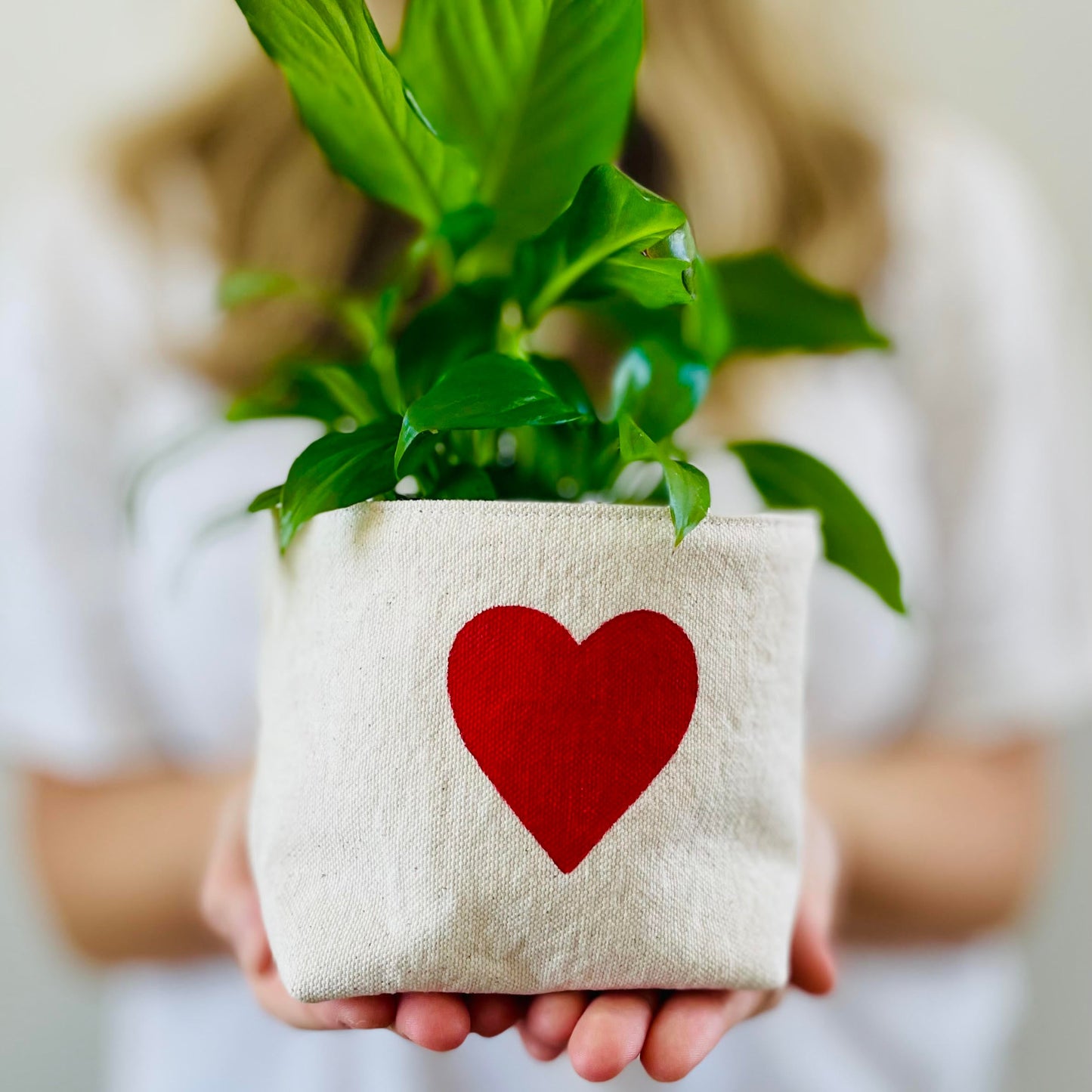 Hand-Painted Heart Fabric Container - Bespoke Hearts
