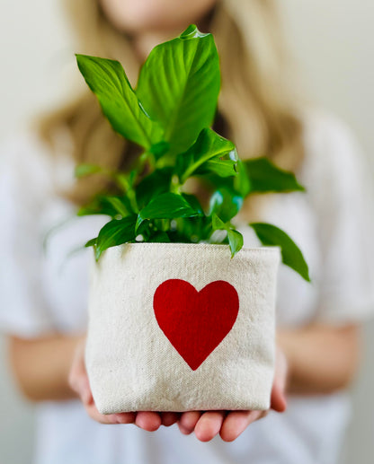 Hand-Painted Heart Fabric Container